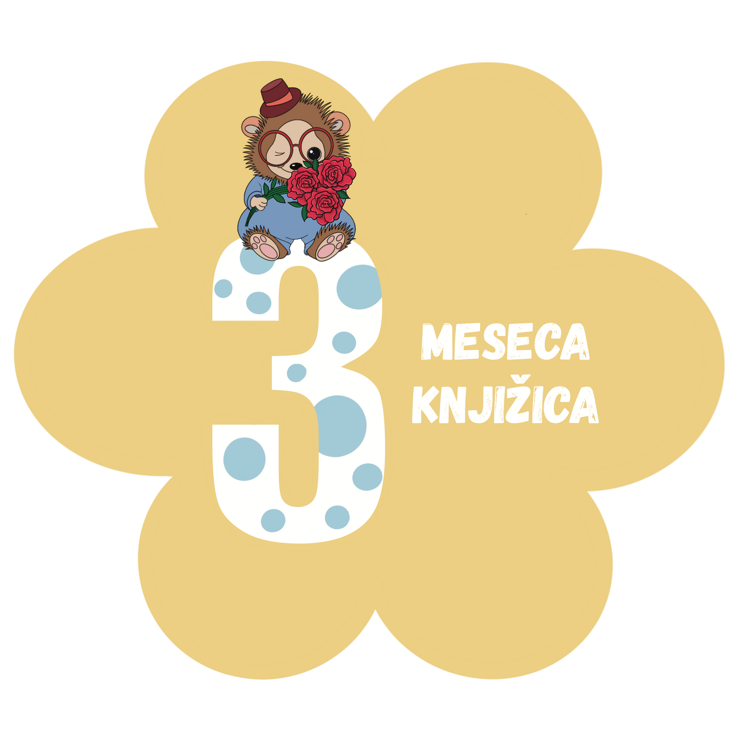 Poklon 3 meseca Knjižica paketa