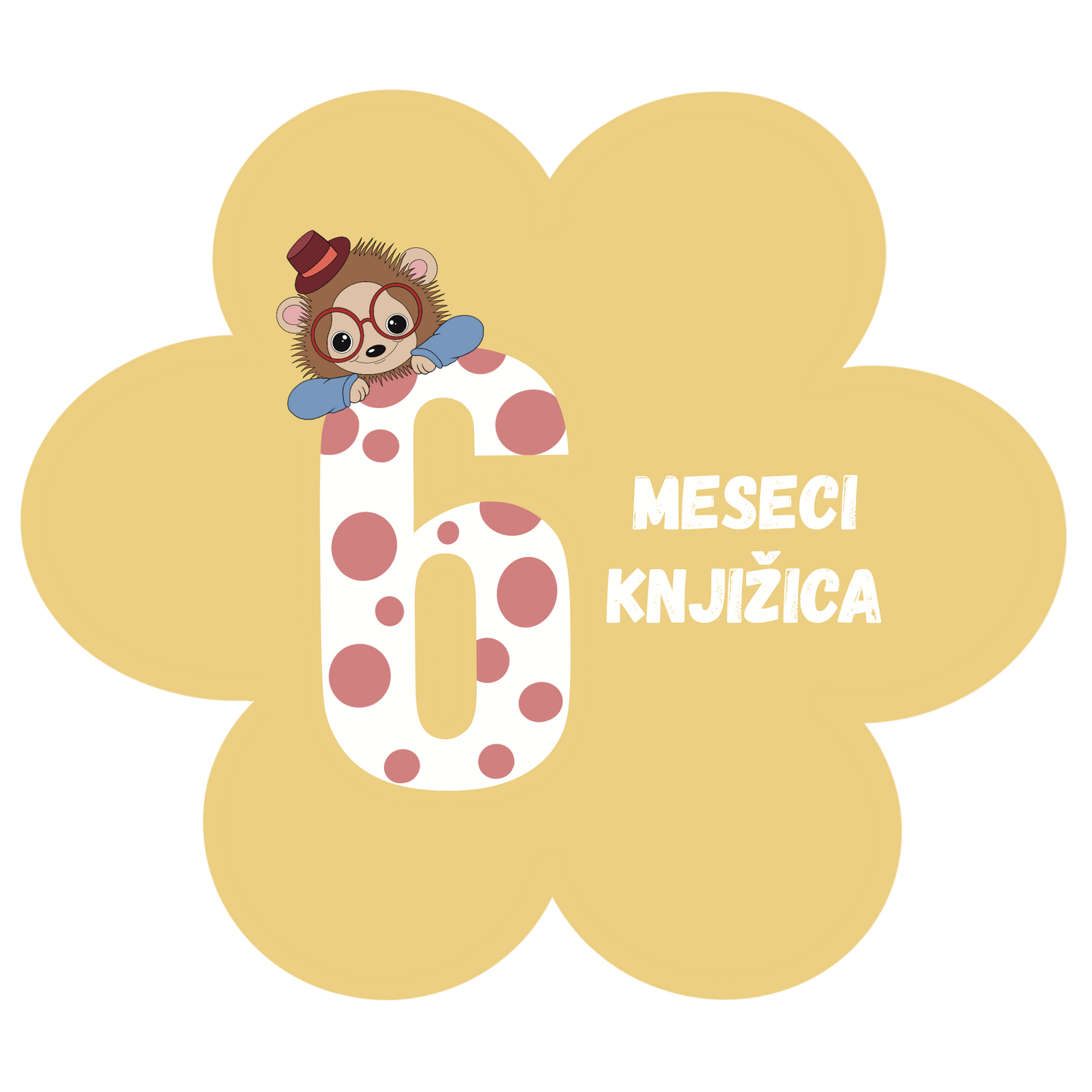 Poklon 6 meseci Knjižica paketa